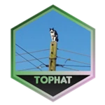Beat The Tower of Peaceful Happiness and Tranquil-