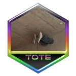 Beat The Tower of Total Exhaustion (LE) (Unobtai..