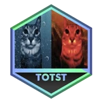 Beat The Tower of Two Sided Troubles