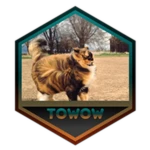Beat The Tower of Whirl of Winds
