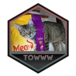 Beat The Tower of Wildly Wacky Wonders