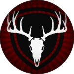 Beginner Survivor