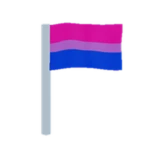 bi flag