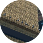 Bird Guide