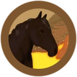 Black Percheron