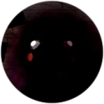 Blackhole Piggy