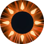Blinding Opus