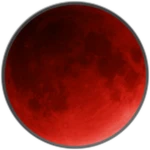 Bloody Night