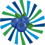 Blueberry Fields Tower