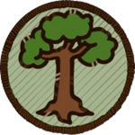 Botany