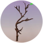 Branch #8 (Wood Festival 2023)