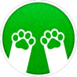 Brand new paws
