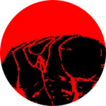 BRAZEN BULL