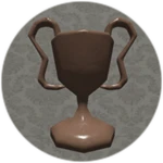 BRONZE BADGE