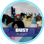 Busy Flight