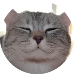 Cat Tree