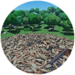 Catch 10,000 fish