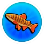 Catch 2,500 Fish!