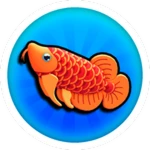 Catch 500 Fish!