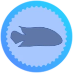 Catch a fish!