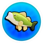 Catch a Fish!
