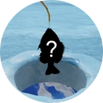 Catch your first fish!
