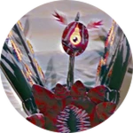 ChaosBird 