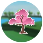 Cherry Blossom Stage