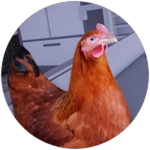 Chickens