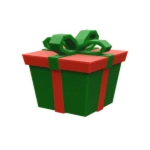 Christmas Present