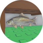 cold-blooded vertebrate animal that lives in water