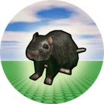 Collected Rat
