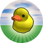 Collected Rubber Duck