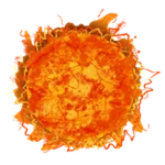 Complete Sun Tower!
