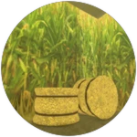 Completed Sublevel: Corn Maze