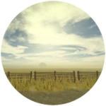 Completed Sublevel: Field of Wheat