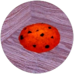 Cookie
