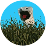 Corn Maze