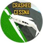 Crashed Cessna