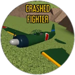 Crashed Fighter
