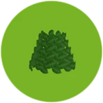 Crown of Leaves