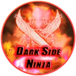 Dark Side Ninja