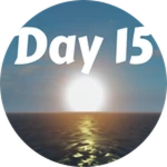 Day 15