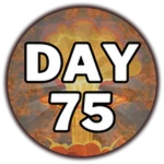 DAY 75