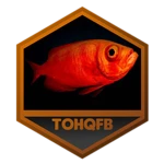 Defeated the Fishing Boat (Unobtainable)