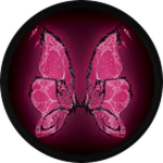 🩷 Delicate Web Wings 🕸️