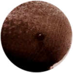dG9rZW4=