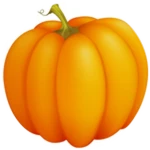 Discover Pumpkin