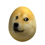 Doge Egg