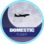 Domestic Flight